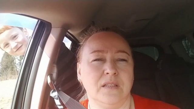 Как определить возраст дерева смотреть онлайн
