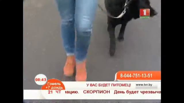У вас будет питомец смотреть онлайн