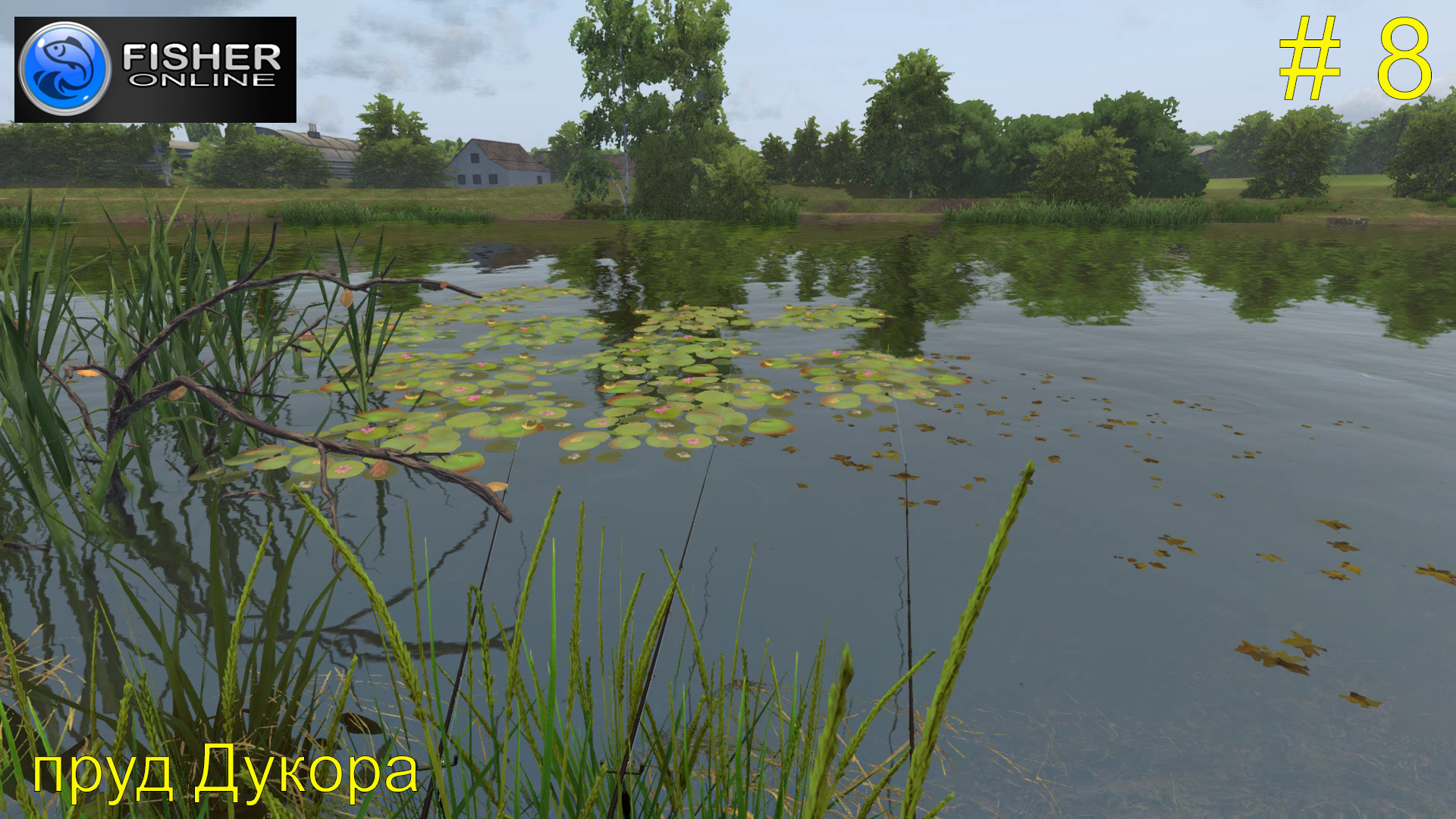 Путь к серебряному кубку. ч.4: Пиявка, ерш, лягушка. Пруд Дукора. # 8. Прохождение Fisher Online