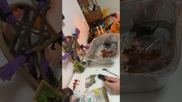 Чистка через Анубиса смотреть онлайн