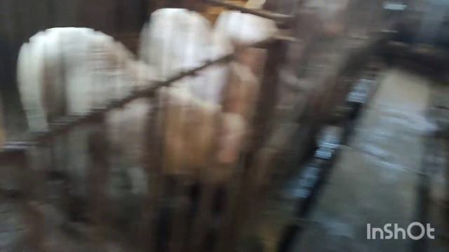 жизнь в деревне, деревенский блог смотреть онлайн