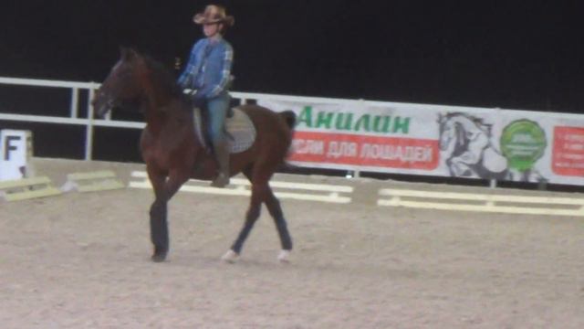 ИППОСФЕРА 2017 Кутузов Богдан КЮР дикий запад смотреть онлайн