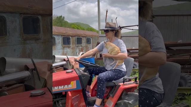 Поехали на дачу #дача смотреть онлайн