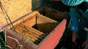 СБОРНЫЙ ОТВОДОК ПЧЕЛ