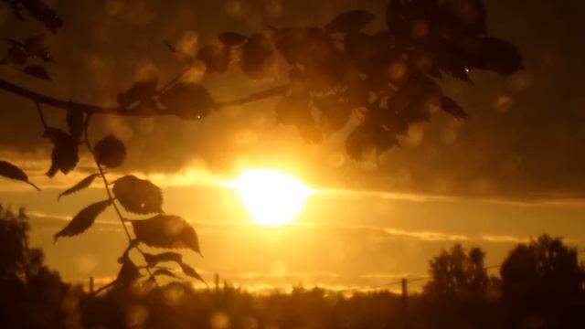 Мне приснился дом, песня смотреть онлайн