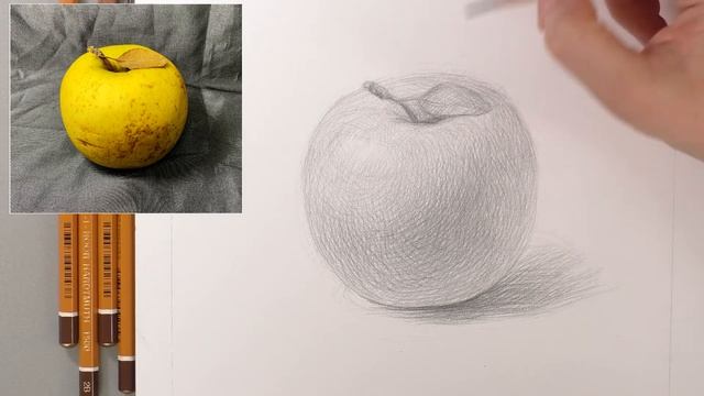 Урок по рисунку с натуры. Полный ролик. смотреть онлайн
