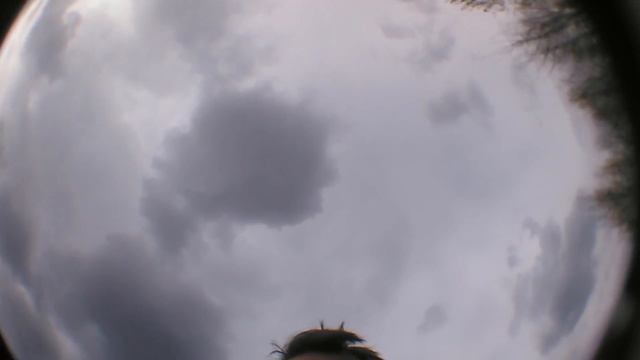 Линзы для смартфонов 2 (видео получилось страшное, а макросъемка интересная) смотреть онлайн