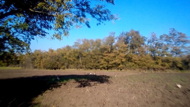 Климат Краснодарского края. Октябрь. Станица Успенская. Часть 2. смотреть онлайн