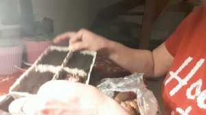 БУКЕТНАЯ ПОСАДКА ГЛАДИОЛУСОВ