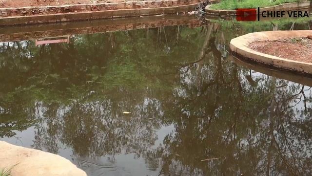 The Most Beautiful Park in Nigeria?| Detailed Tour of Unity Park Enugu Nigeria смотреть онлайн