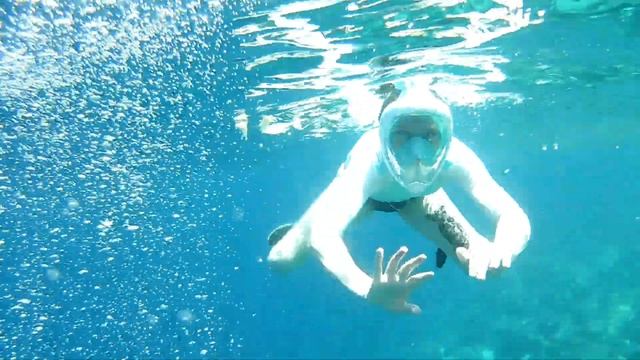 Travel VLOG. Philippines, Cebu | Филиппины, остров Себу, китовые акулы смотреть онлайн