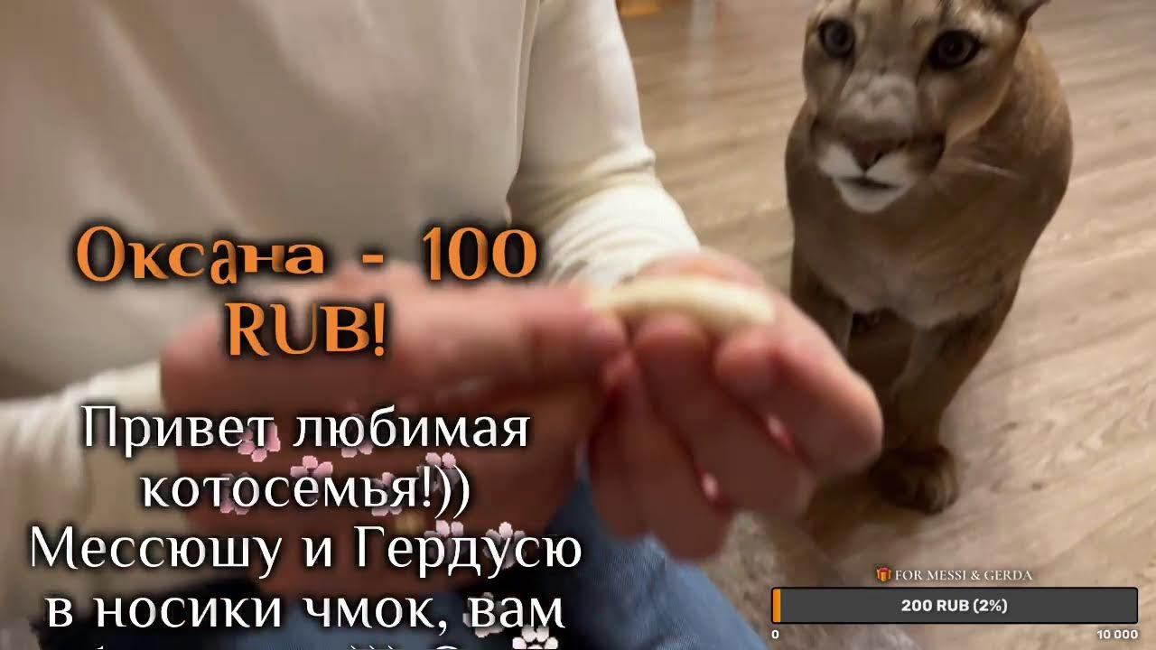 Прямой эфир. Мы скучали!❤️ смотреть онлайн