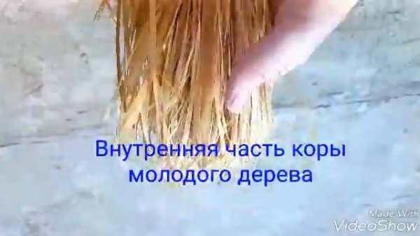 Лыко. Что такое лыко?