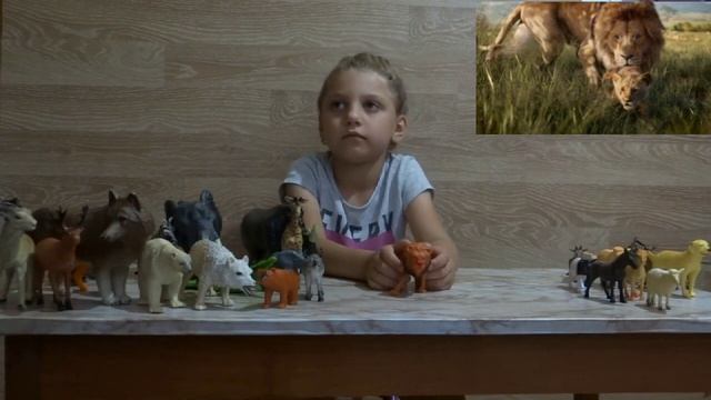 Изучаем диких животных с детьми. Лев смотреть онлайн