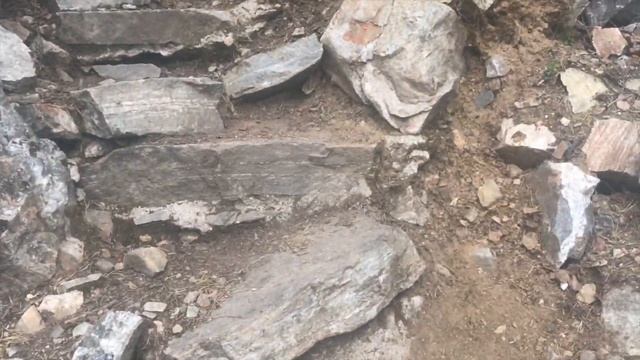 Hossa National Park 2020 смотреть онлайн