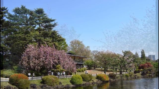 Япония. Страна -восторг смотреть онлайн