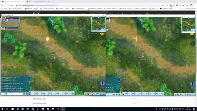 Pirate King Online - Website, Launcher And Newbie Guide