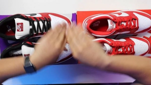 Nike Dunk Low vs Nike SB EXPLAINED