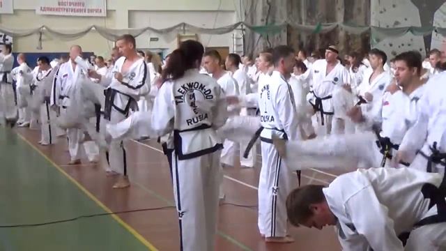 Часть3 Таеквон-До ИТФ Семинар Jurek Jedut Jaroslav Suska 2017 Taekwon-Do ITF Seminar смотреть онлайн