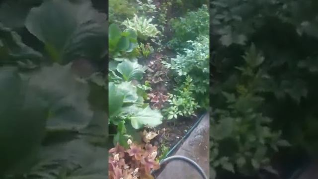 гейхера  Брест лантерн 26.05.22