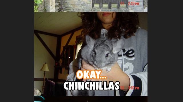 Internet's Weirdest Pictures смотреть онлайн