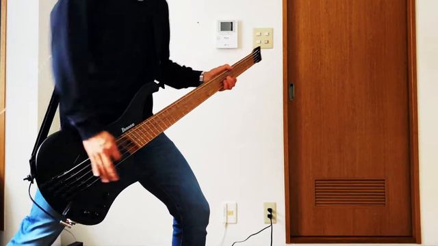 Sum 41 - The Hell Song || Bass Cover смотреть онлайн