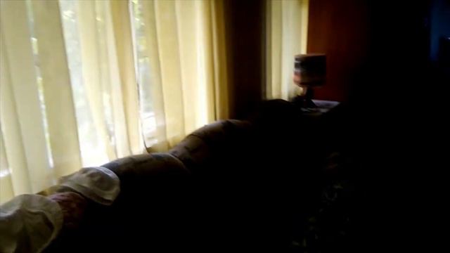 Заготовка липы смотреть онлайн