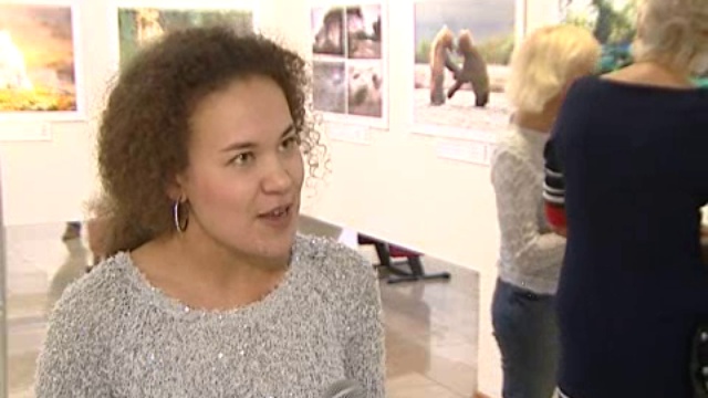 Золотая черепаха