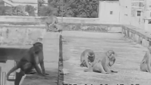 Benares and the Ganges River 1931 смотреть онлайн