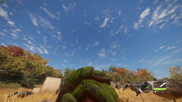 TheHunter  Call Of The Wild , ТОПОВЫЙ ЗАРАБОТОК  НА ГУСЯХ И УТКАХ, НОВОСТИ ИГРЫ,БАГИ. ГАЙД.