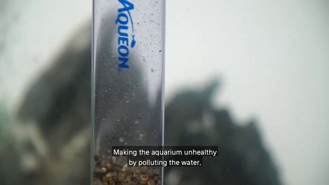 How to use a Water Changer and Siphon смотреть онлайн