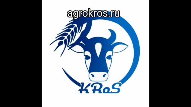 Ферма по выращиванию породы симментал продает КРС живым весом смотреть онлайн