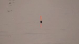 Закинул удочку и... вот она! Рыбалка на поплавок весной с берега