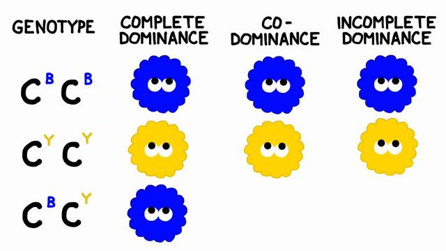 Codominance and Incomplete Dominance: Non-Mendelian Genetics смотреть онлайн