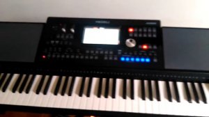 Medeli A1000 midi file.