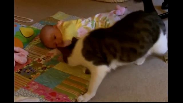 Колыбельная смотреть онлайн