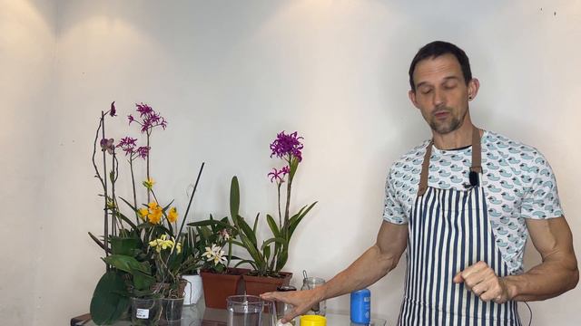 Magic Garlic Tonic: Revive Orchids, Fight Fungus & Bacteria! смотреть онлайн