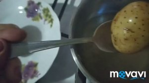 Обзор картофеля сорт ГАЛА.