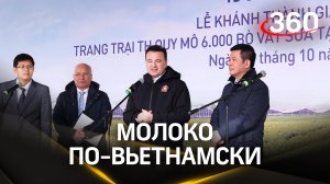 Супер-молоко из Волоколамска: как Подмосковье становится лидером в производстве молока