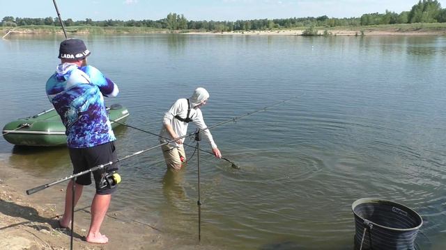 Ловля сазана на реке.