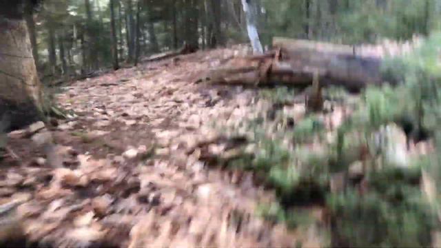 50 Days Running Challenge Day 17 смотреть онлайн