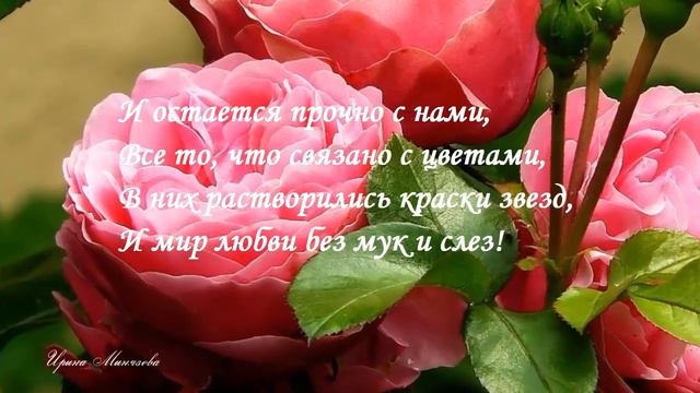 Цветочки - лепесточки смотреть онлайн