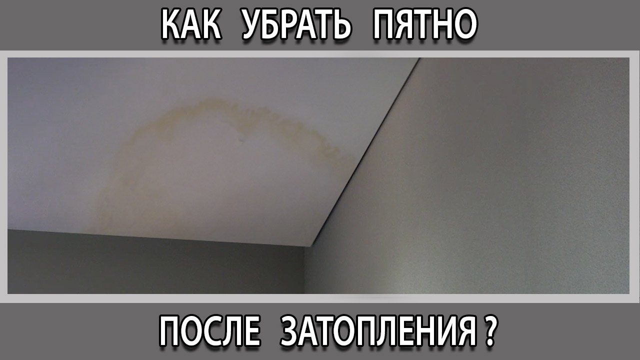 Денис Телегин