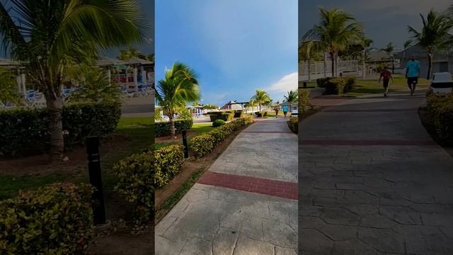 Memories Flamenco Cayo Coco #cuba #beach #resort смотреть онлайн