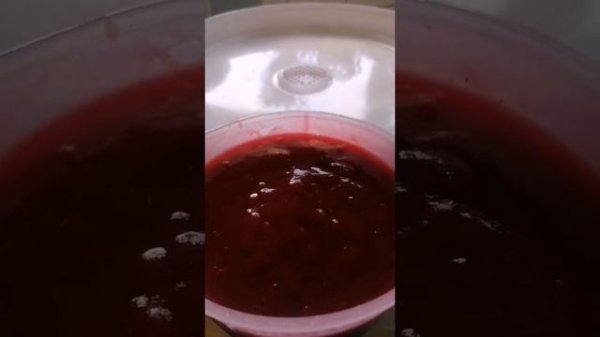 Пастила из ежевики.