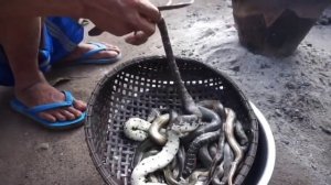 Что едят китайцы? Китайские блюда