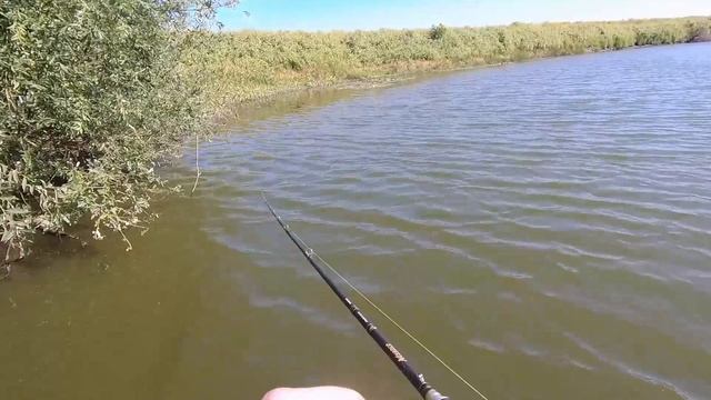 Как я ловлю на слайдер фирмы Salmo. Мой опыт ловли щуки. БОЖЕСТВЕННАЯ ПРИМАНКА ДЛЯ ХИЩНИКА!