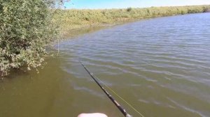 Как я ловлю на слайдер фирмы Salmo. Мой опыт ловли щуки. БОЖЕСТВЕННАЯ ПРИМАНКА ДЛЯ ХИЩНИКА!