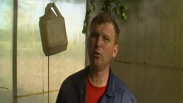 Гостевой летний крольчатник . смотреть онлайн