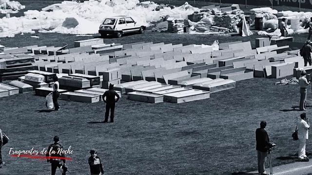 Extrañas apariciones en el parque delta | Fragmentos de la noche смотреть онлайн